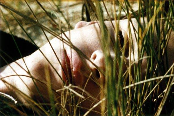 Gaspard dans les herbes